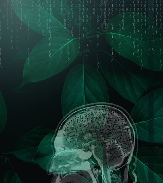 drjannascharfenberg-certification-courses