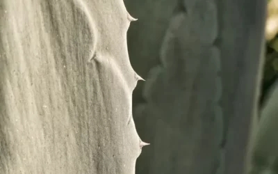 Wie ich meine gesunde High Performance ganz persönlich lebe